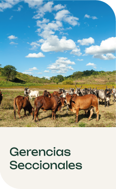 Gerencias Seccionales